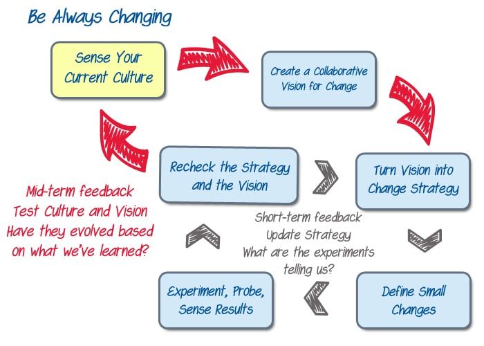 Agile Change or Adoption: Sense Your Current Culture