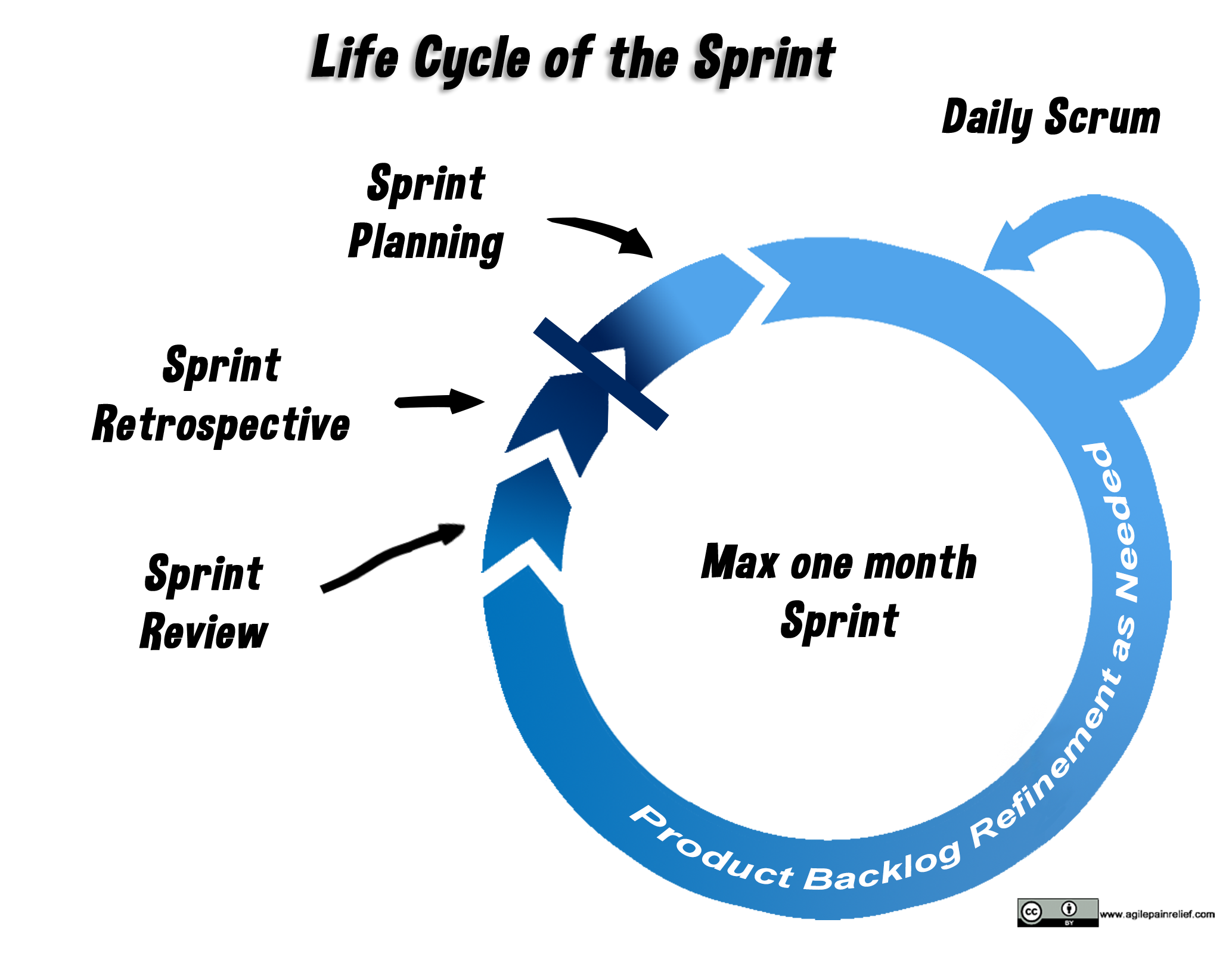 life cycle of the Scrum sprint - image by Agile Pain Relief Consulting